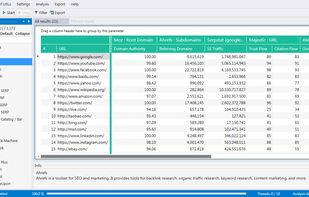 Netpeak Checker screenshot 1