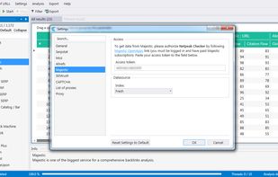 Netpeak Checker screenshot 1