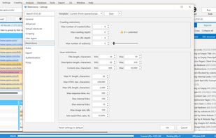 Netpeak Spider screenshot 1