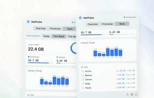 NetPulse Statistics view with whole-Mac totals, daily trends, and per-app Top 10 usage.