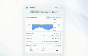 NetPulse Overview showing live upload and download speed, HTTPS response time, request failure rate, IP details, and latency stability.