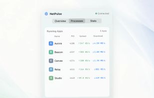 NetPulse Processes view showing which Mac apps are currently using bandwidth.