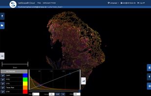 netScope Cloud screenshot 1