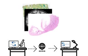 Schematic of netScope Desk usage.