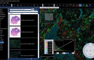 Dark mode can be easily set.
