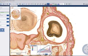Easy export to prepare presentations. And show the histogram of the slide and adjust the colors.