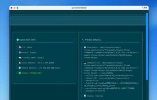 Netshow screenshot 1