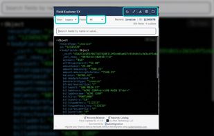 NetSuite Field Explorer EX screenshot 1