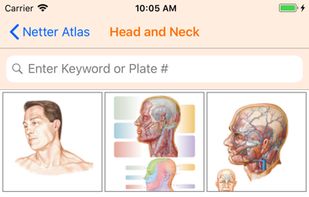 Netter's Anatomy Atlas 7e screenshot 1