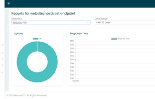Netumo extensive reports