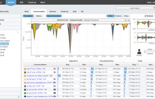 NetVizura NetFlow Analyzer - end user traffic statistic (top conversations)