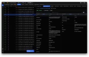 Standard Request Response Viewer
