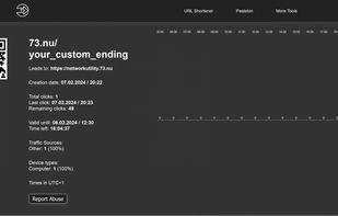 Info Page of an example Shortlink