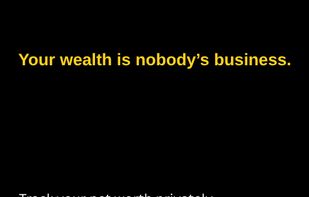 NetWorthArc screenshot 1