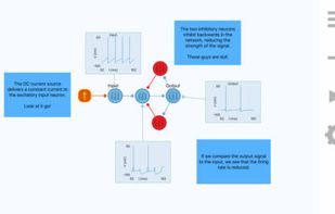 Neuronify screenshot 3