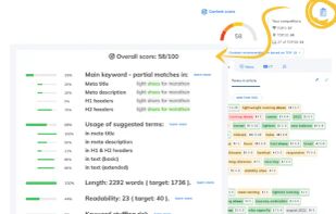 NeuronWriter screenshot 3