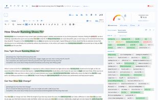 NeuronWriter screenshot 1