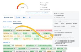 NeuronWriter screenshot 1