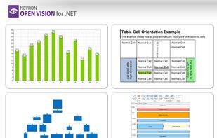 Nevron Open Vision for .NET screenshot 2