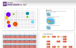 Nevron Open Vision for .NET screenshot 3