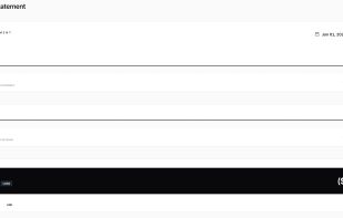 NewLedger - Accounting screenshot 3