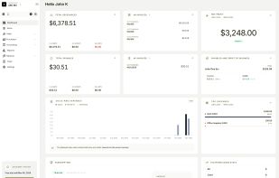 NewLedger - Accounting screenshot 1