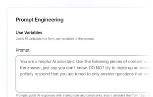 Prompt Engineering