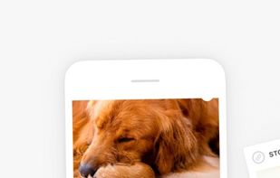 Newsdrop screenshot 3