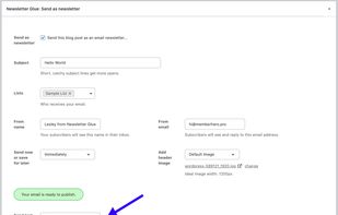 Newsletter Glue screenshot 2