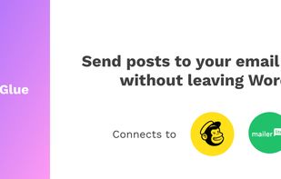 Newsletter Glue screenshot 1