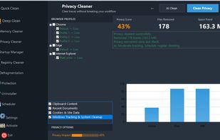 Privacy Cleaner with browser detection and AI-assisted privacy scoring