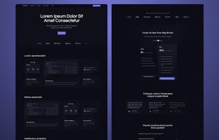 Polish and performance. This balances clean aesthetics with functional sections. Perfect for tools, dashboards, and data-driven platforms.