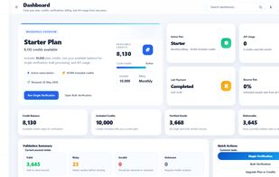 NexMailPro dashboard overview with email verification statistics, usage metrics, and account activity insights.