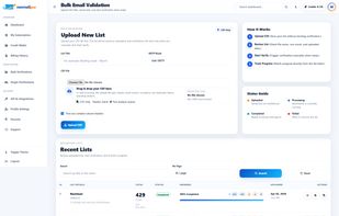 Bulk email verification interface with CSV upload, validation progress, and email list processing tools.