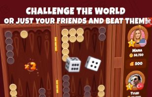 Next Backgammon screenshot 1