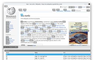 Nyxt browser screenshot 3