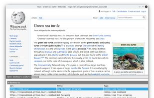 Nyxt browser screenshot 2