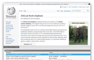 Nyxt browser screenshot 1