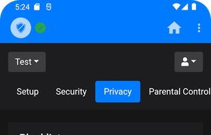 NextDNS Manager screenshot 2