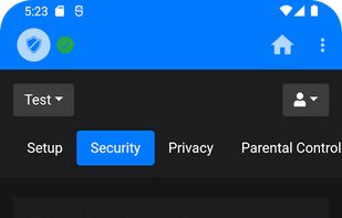 NextDNS Manager screenshot 1