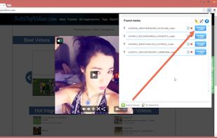 NextGenDev Flash Video Downloader screenshot 1