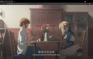 NflxMultiSubs screenshot 1