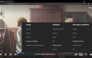 NflxMultiSubs screenshot 1