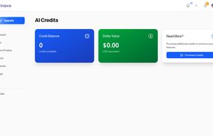 AI credits dashboard — monitor and top up AI usage across the platform.