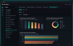 Nile helps fetch insights on your data without having to write SQL. Just ask in english, and Nile will figure out the tables to query and the SQL to write.