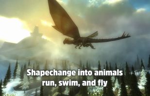 Nimian Legends screenshot 3