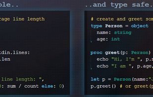 Nim (programming language) screenshot 1