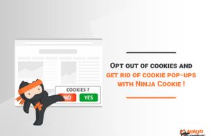 Ninja Cookie screenshot 1
