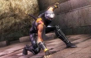 Ninja Gaiden screenshot 1