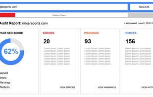 Ninja Reports screenshot 1